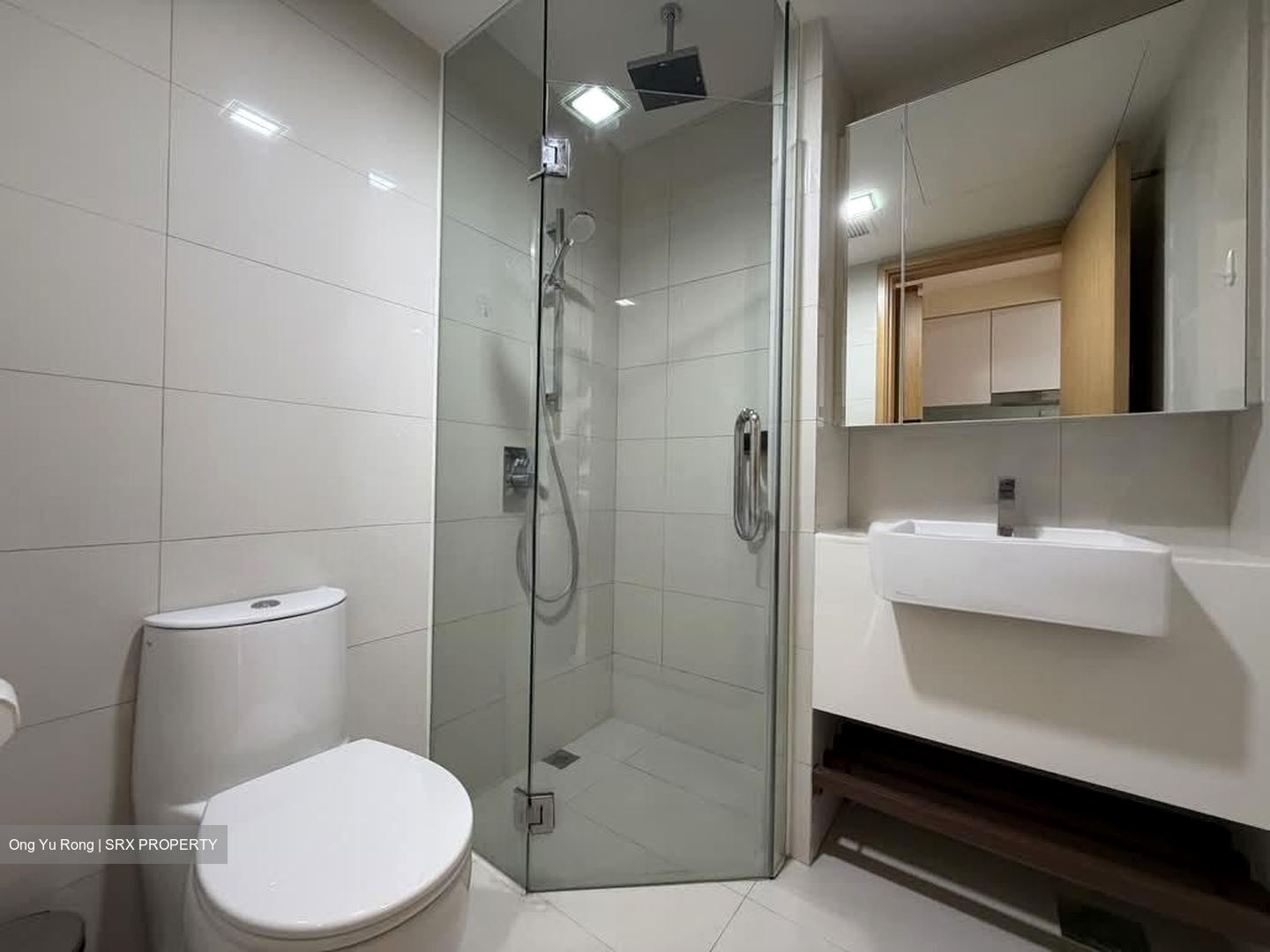 Eight Riversuites (D12), Condominium #603651681